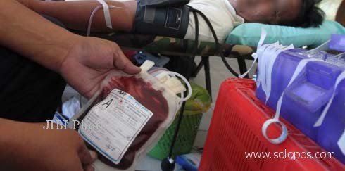 donor darah